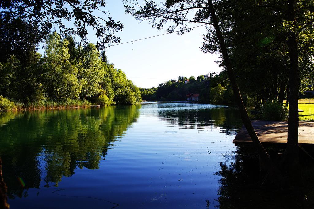 Apartment Mreznicka Kuca Duga Resa Cameră foto